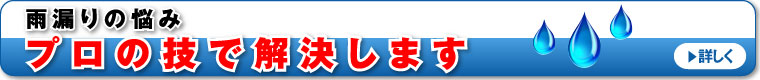 雨漏りの悩みプロの技で解決します