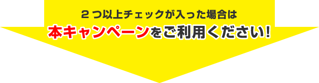 2つ以上チェックが入った場合は本キャンペーンをご利用ください！